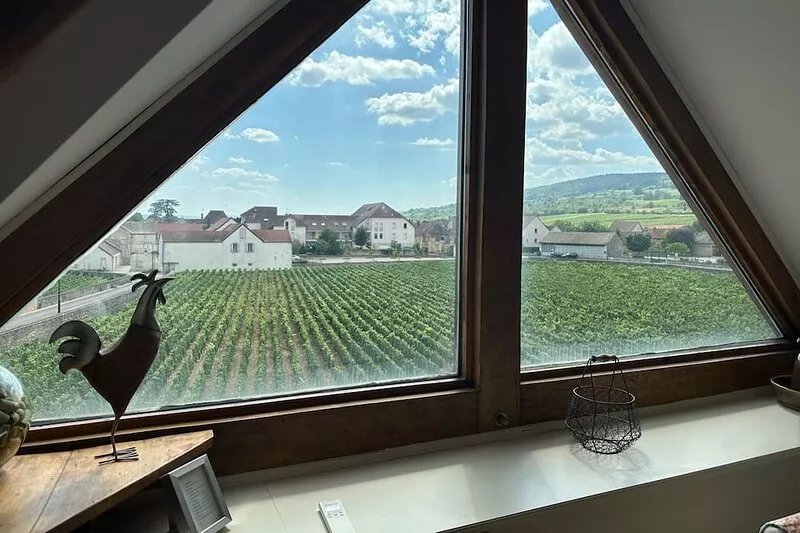 Meursault, Burgundy - luxury renovated barn overlooking vines - ‘Le Clos’