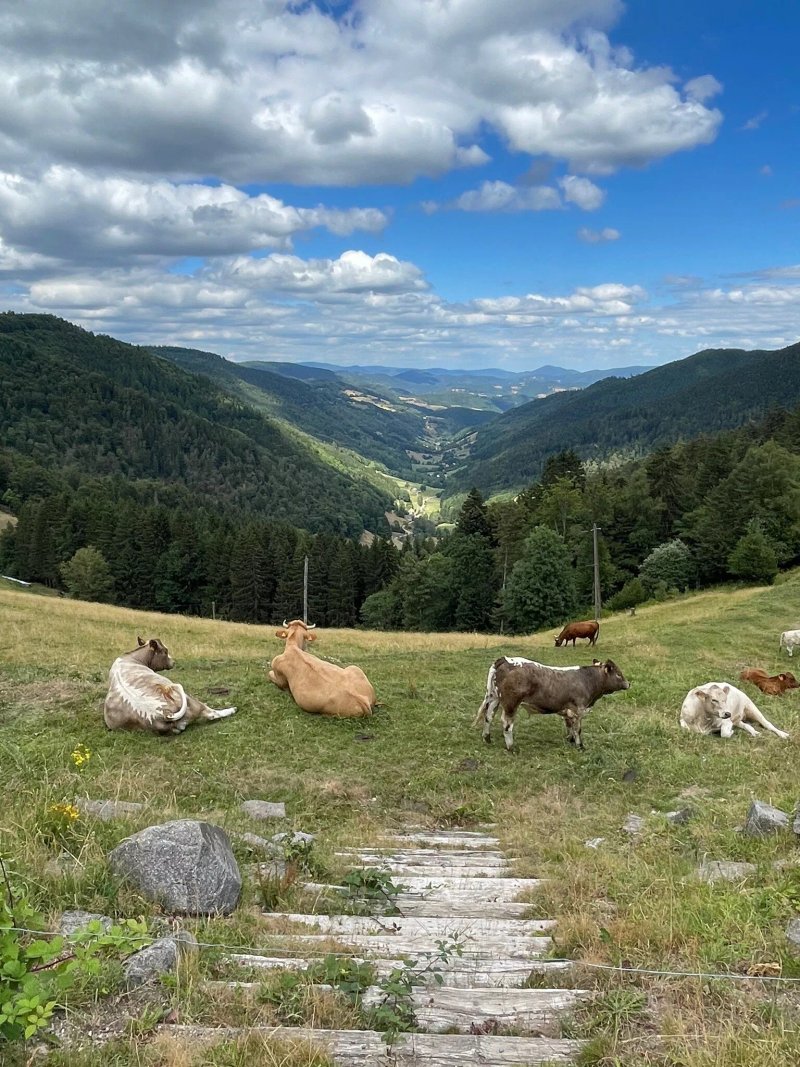 Camping Lefebure