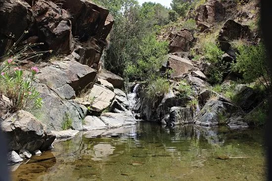 Charco de las Vinas