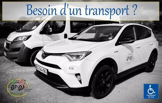 Lions de la route transports naturels