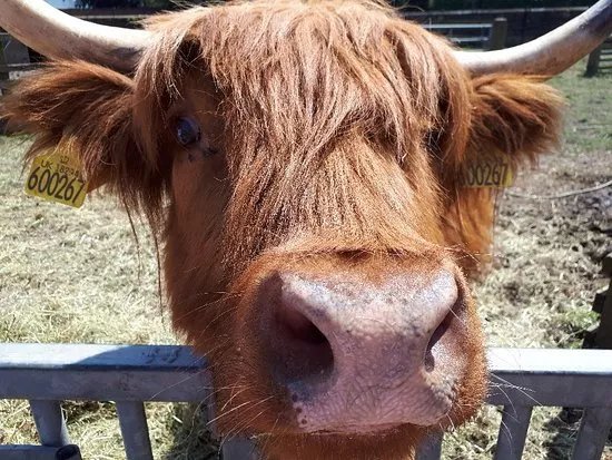 Croxteth Park Farm