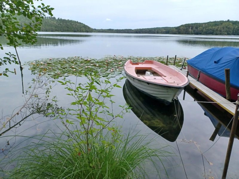 Waldgaststatte Zur Quelle Am Springsee