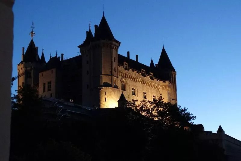 Splendid view of the Château and the Loire