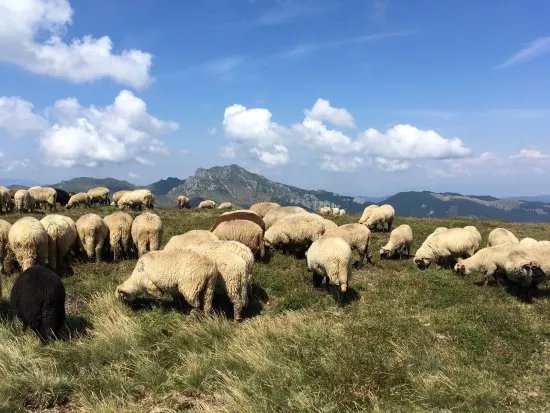 Muntele Rosu (Red Mountain)