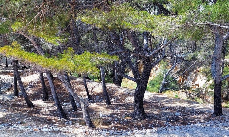 Plage Naturiste Des Pierres Blanches