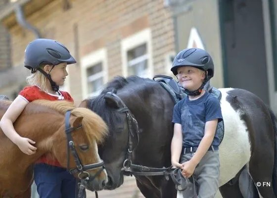 IFEE Ponyclub