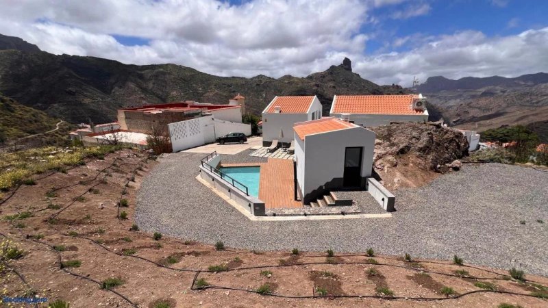 Calma Suites Tejeda