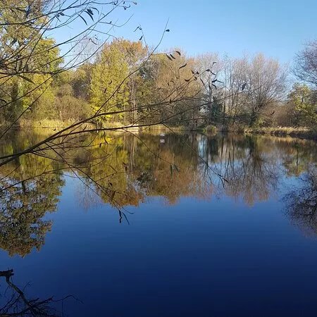 Spring Grove Park and Ponds