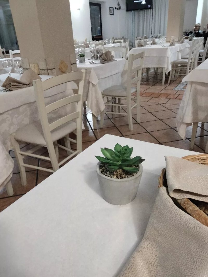 Trattoria da Lucia