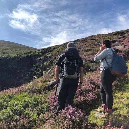 Wildirishwalks.co.uk