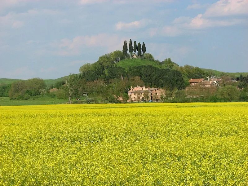 Small Apartment With Independent Access  In Beautiful Tuscan Farmhouse