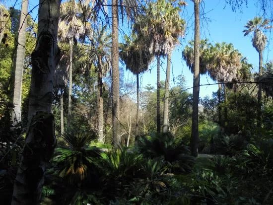 Jardim Botanico Da Universidade De Lisboa