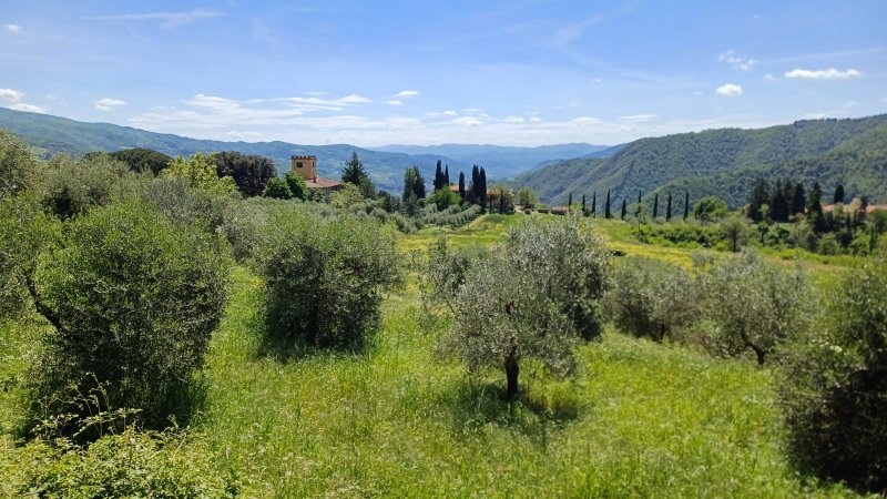 Agrturismo & Country Wine Estate