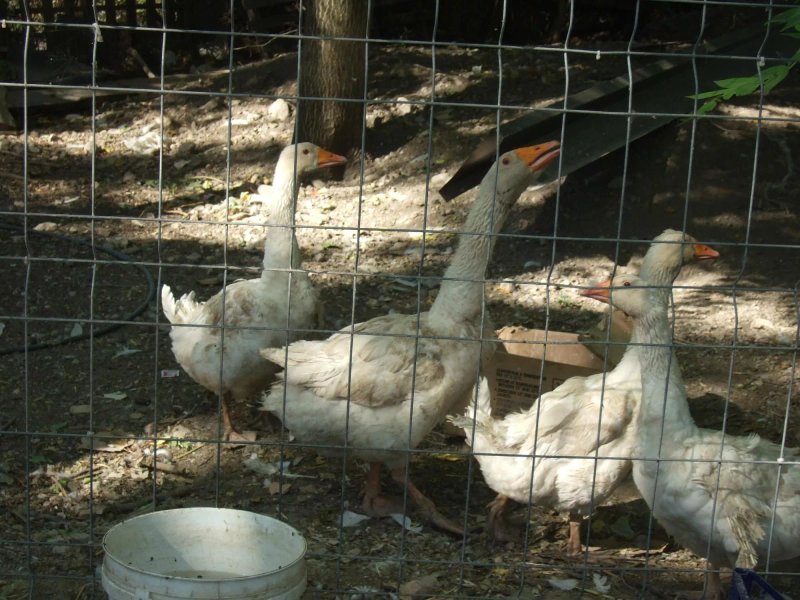 Agriturismo San Paolo