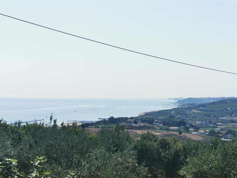 Il Giardino fra gli Ulivi
