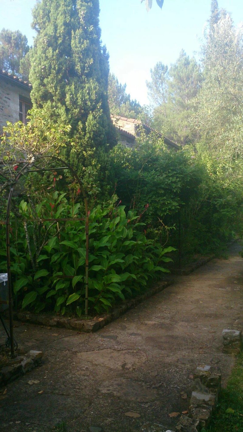 Puerto Roque Apartamentos Rurales