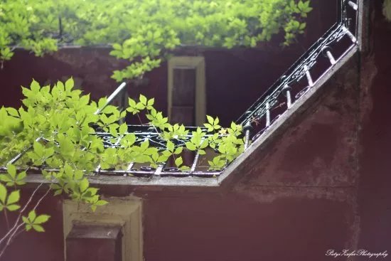 Imagine Budapest - Thematic Sightseeing Tours