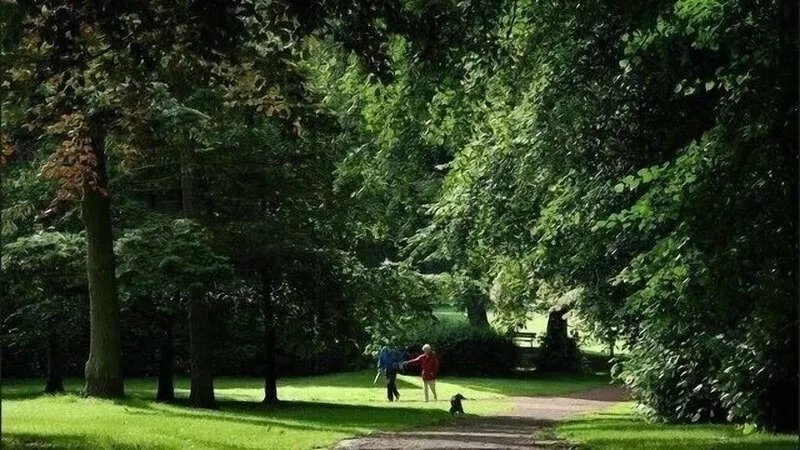 One min from M1 motorway ☘️Pets welcome.. fur babies need a staycation too