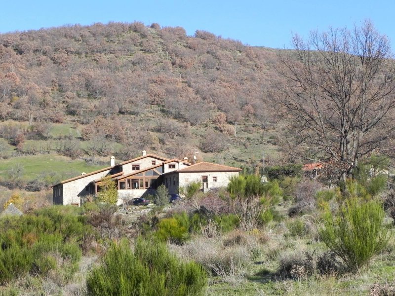 Cruz del Gallo