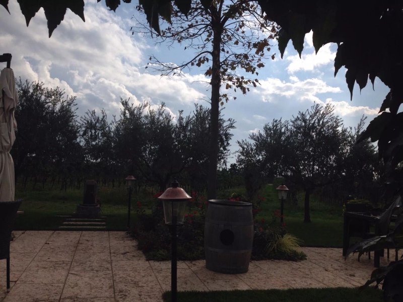 Azienda Agrituristica Sol de Montalto