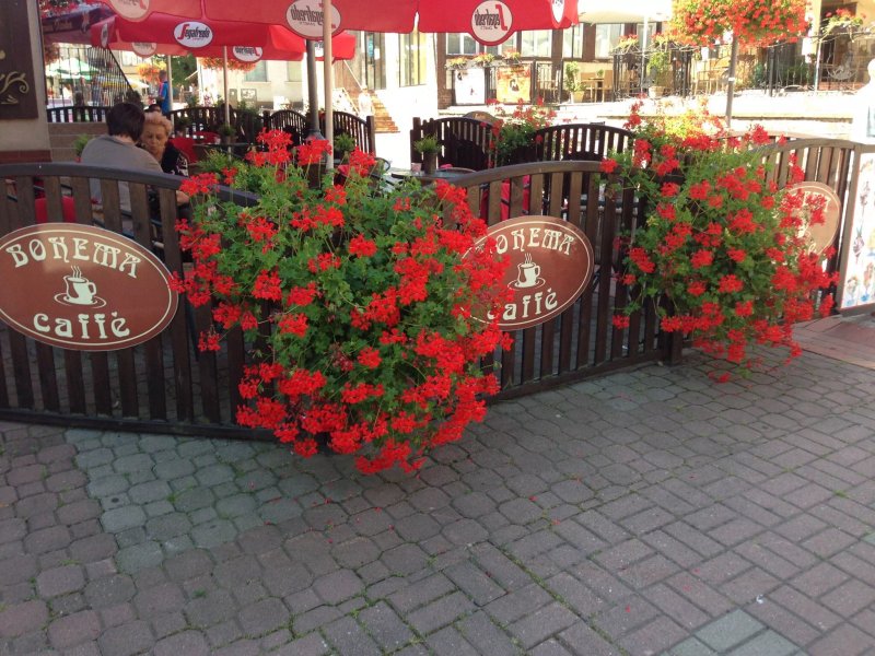 Caffe Bohema Szczawno-Zdroj