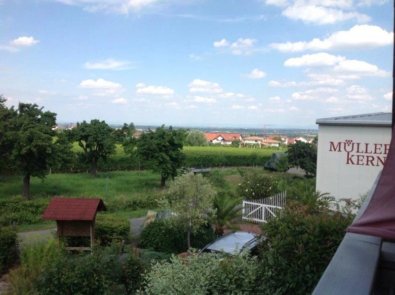 Gastehaus-Weingut Helbighof