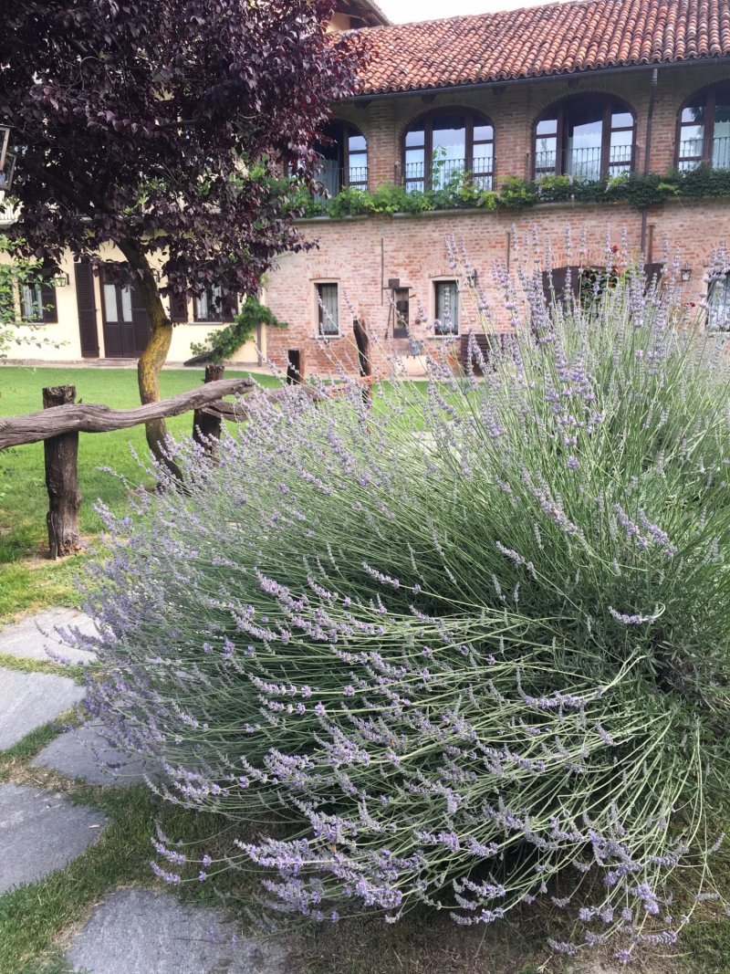 Agriturismo Santa Rosalia