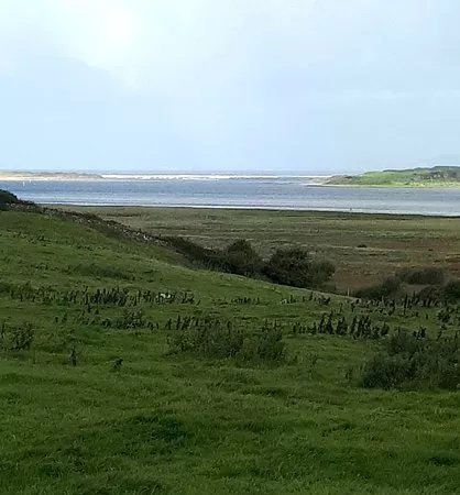 Campview Farm
