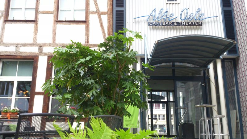 Alte Oele