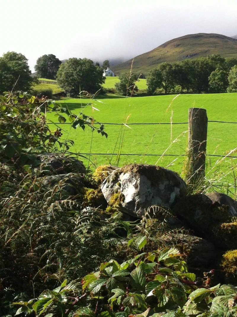 Dining at Ben Lawers Hotel