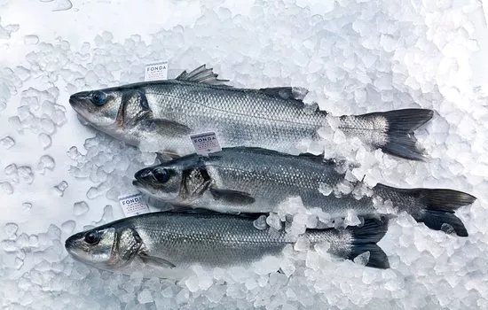 Fonda Fish Farm