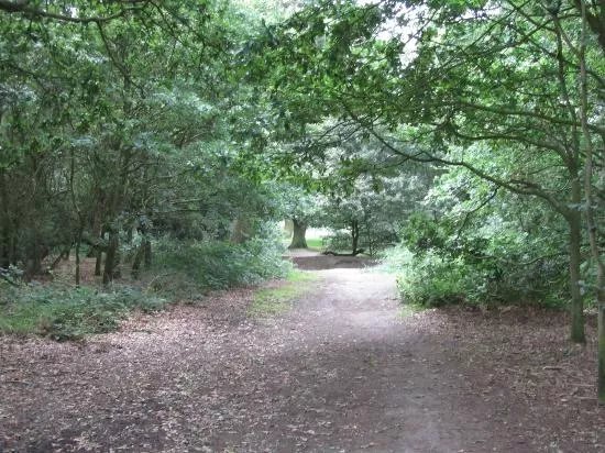 Beverley Westwood