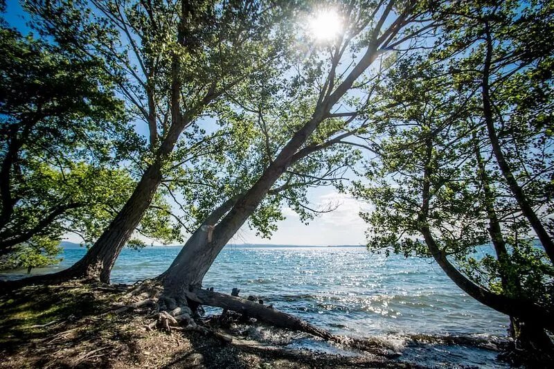 Amazing beachfront location, direct access to the lake, private beach, near Rome