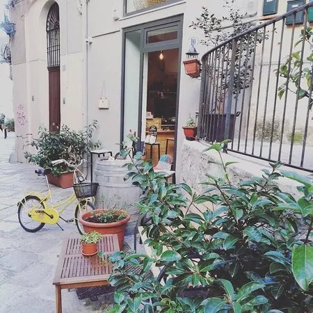 Bottega Monteleone