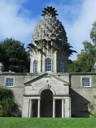 The Pineapple