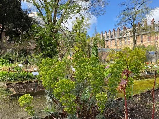 National Academy Of Pharmacy Botanical Garden