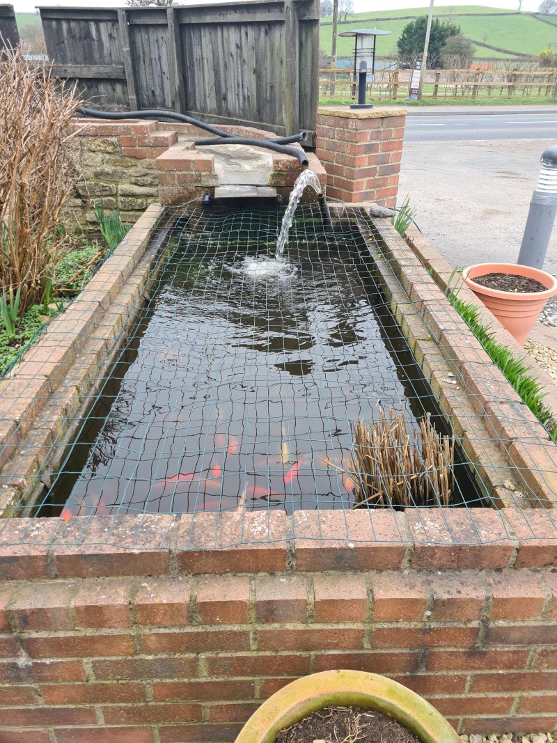 The Well Inn