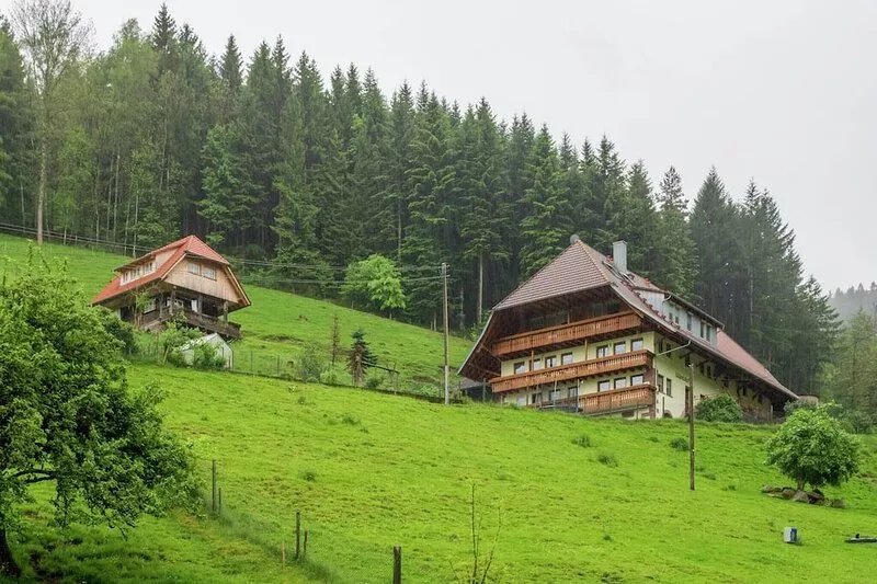 Apartment on a farm on the edge of the forest