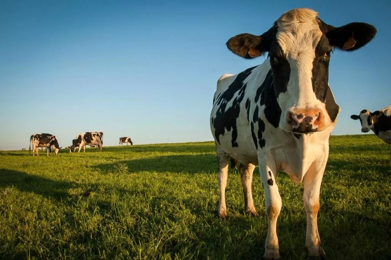 La Ferme de la Cavalerie