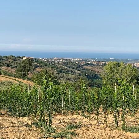 Riserva Naturale Regionale Bosco Don Venanzio
