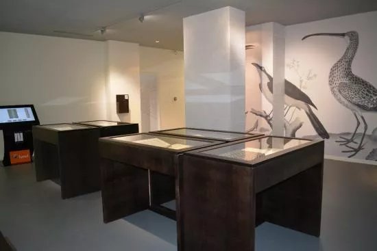 Musee Medard