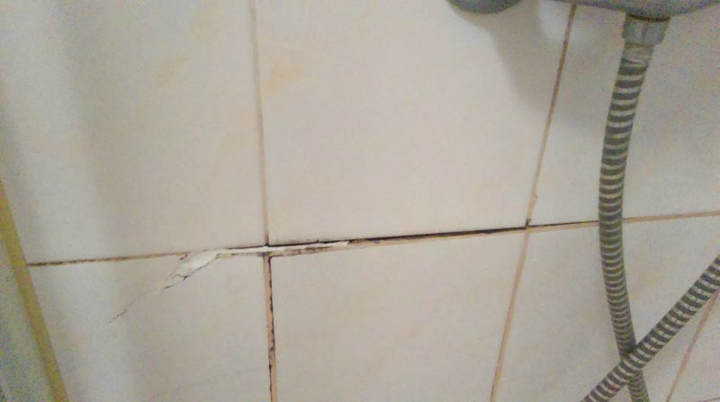 Free Hostel