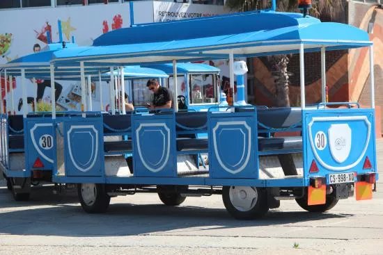 Petit Train Bleu