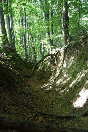 Suchedniowsko-Oblegorski Landscape Park