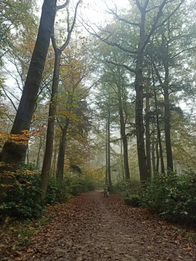 Torenpoort De Mik