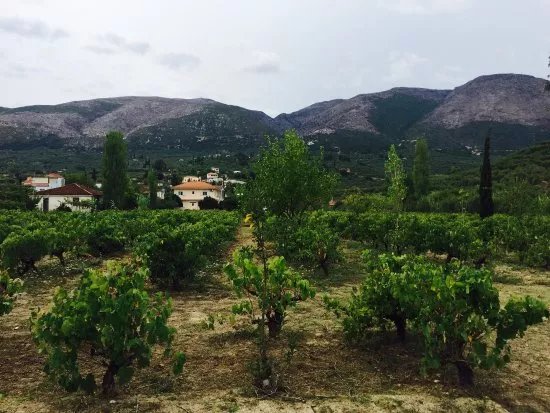 Therianos Family Farm
