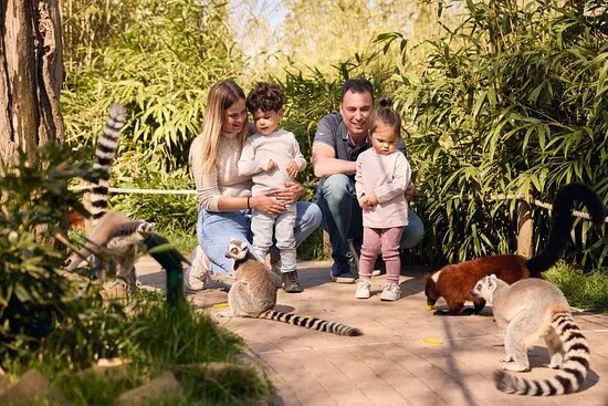 Eindhoven Zoo (voorheen Dierenrijk)