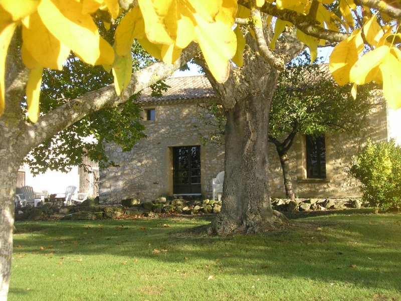 Domaine de la Borie Blanche