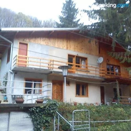 Mountain Sun Guest House