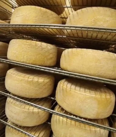 Onetik Fromagerie de Macaye